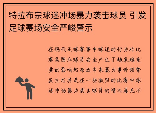 特拉布宗球迷冲场暴力袭击球员 引发足球赛场安全严峻警示